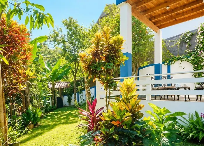 Springhouse Tu Escapada Perfecta En Jarabacoa Con 3 Aires Acondicionado Capacidad Para 10 Personas Ideal Para Familias Y Amigos 4 Habitaciones Piscinas Privada